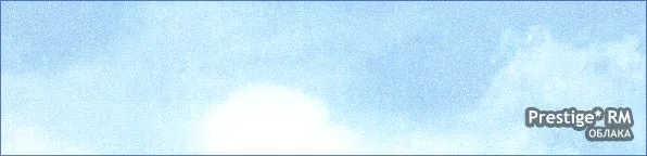 пленка матовая